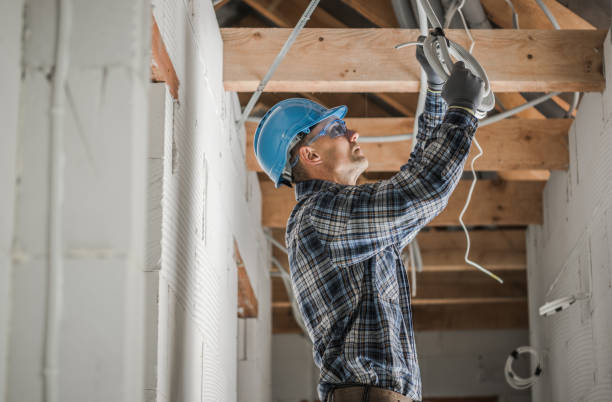 Best Local Electrician Companies  in Sterling Heights, MI