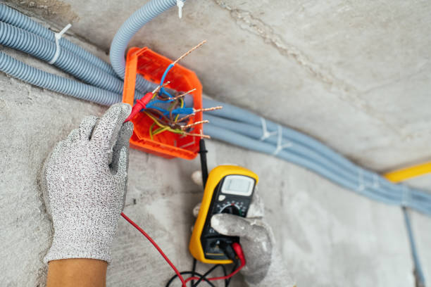 Best Electrical Repair Services  in Sterling Heights, MI